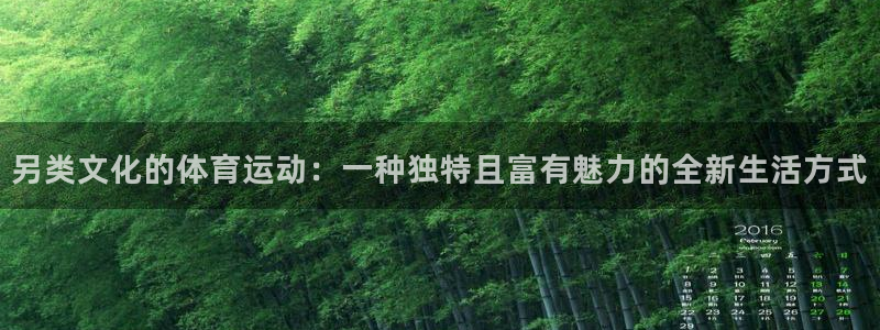 火爆体育在线直播
