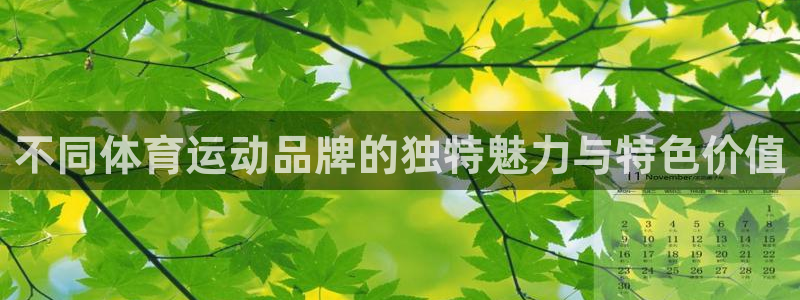 火爆体育app官方下载安装最新版本
