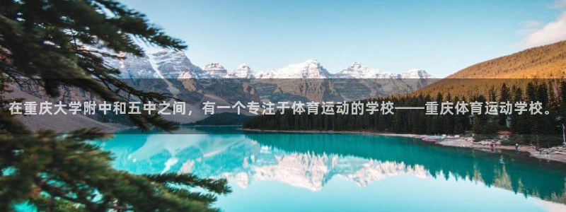 火爆体育背后故事