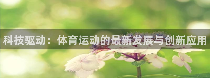 火爆体育app官方下载安装最新版本