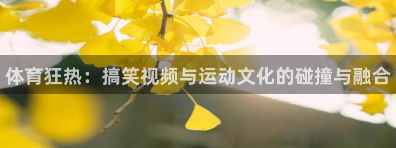 关键词：体育狂热：搞笑视频与运动文化的碰撞与融合