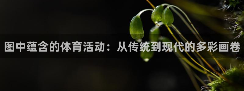火爆体育在线直播