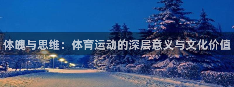 火爆体育背后故事